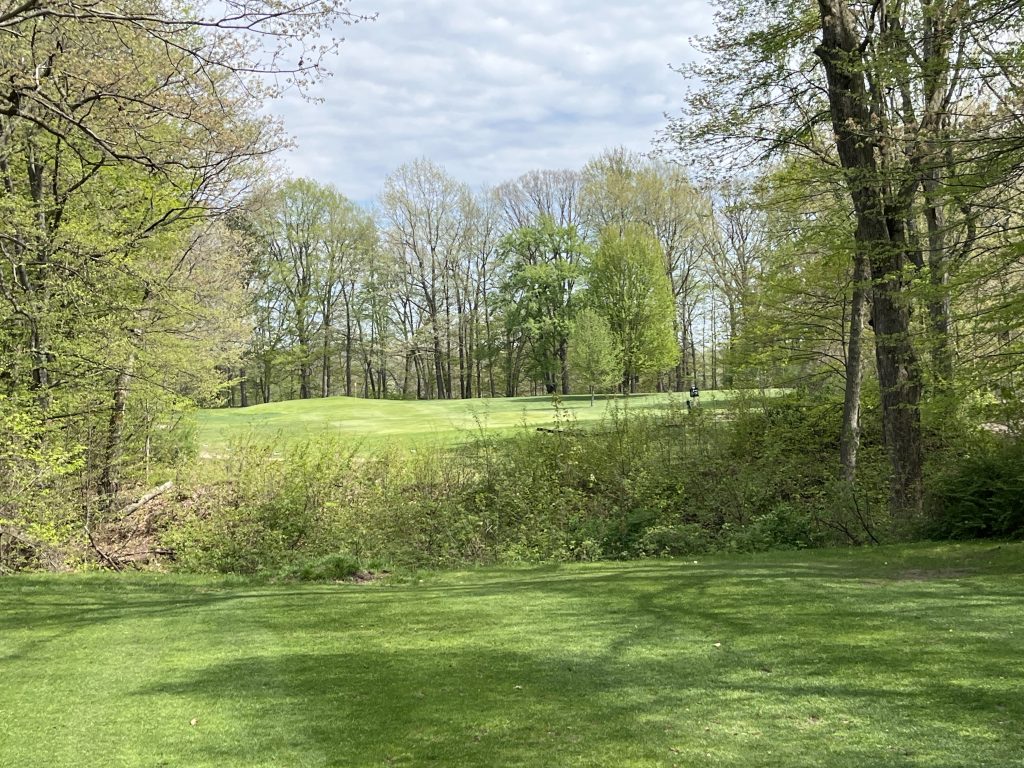 The fifth hole
